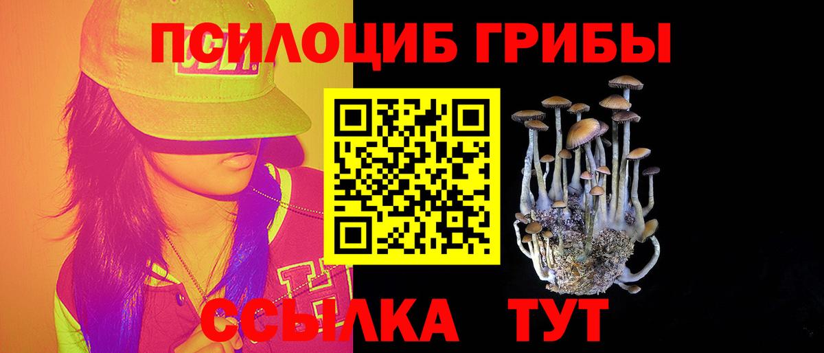 Псилоцибиновые грибы GOLDEN TEACHER  Вход с VPN  Курчатов  Галлюциногенные грибы MAGIC MUSHROOMS 