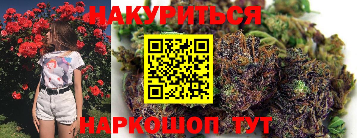 Курчатов  МАРИХУАНА план  Бошки Шишки планчик  Вход с VPN  Конопля конопля 